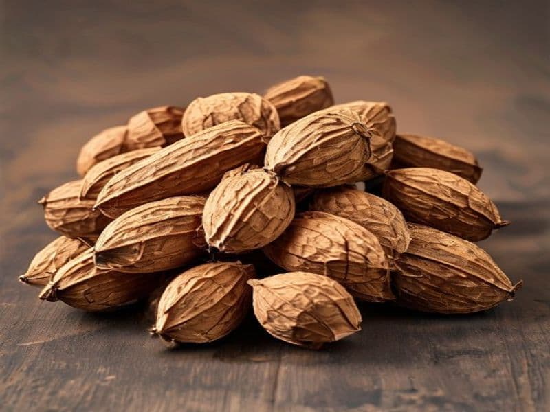 Young Areca Nut